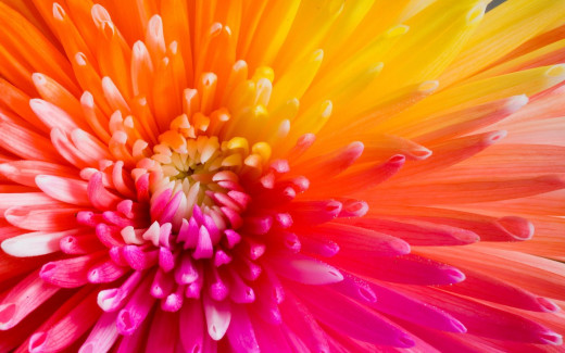 460080 (a): :1680x1050